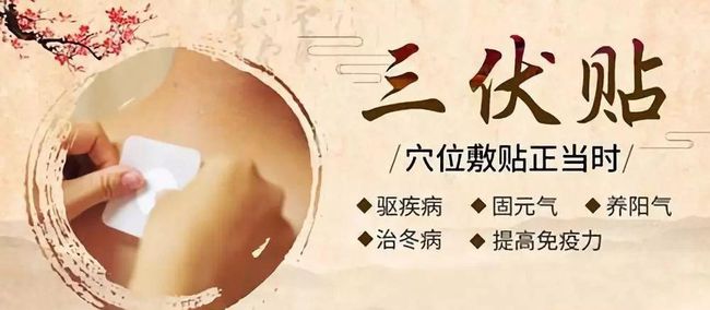 1、三伏貼要連續(xù)貼幾天
