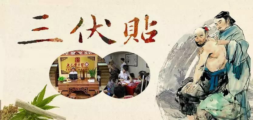 2、什么是三伏貼？三伏貼的作用？